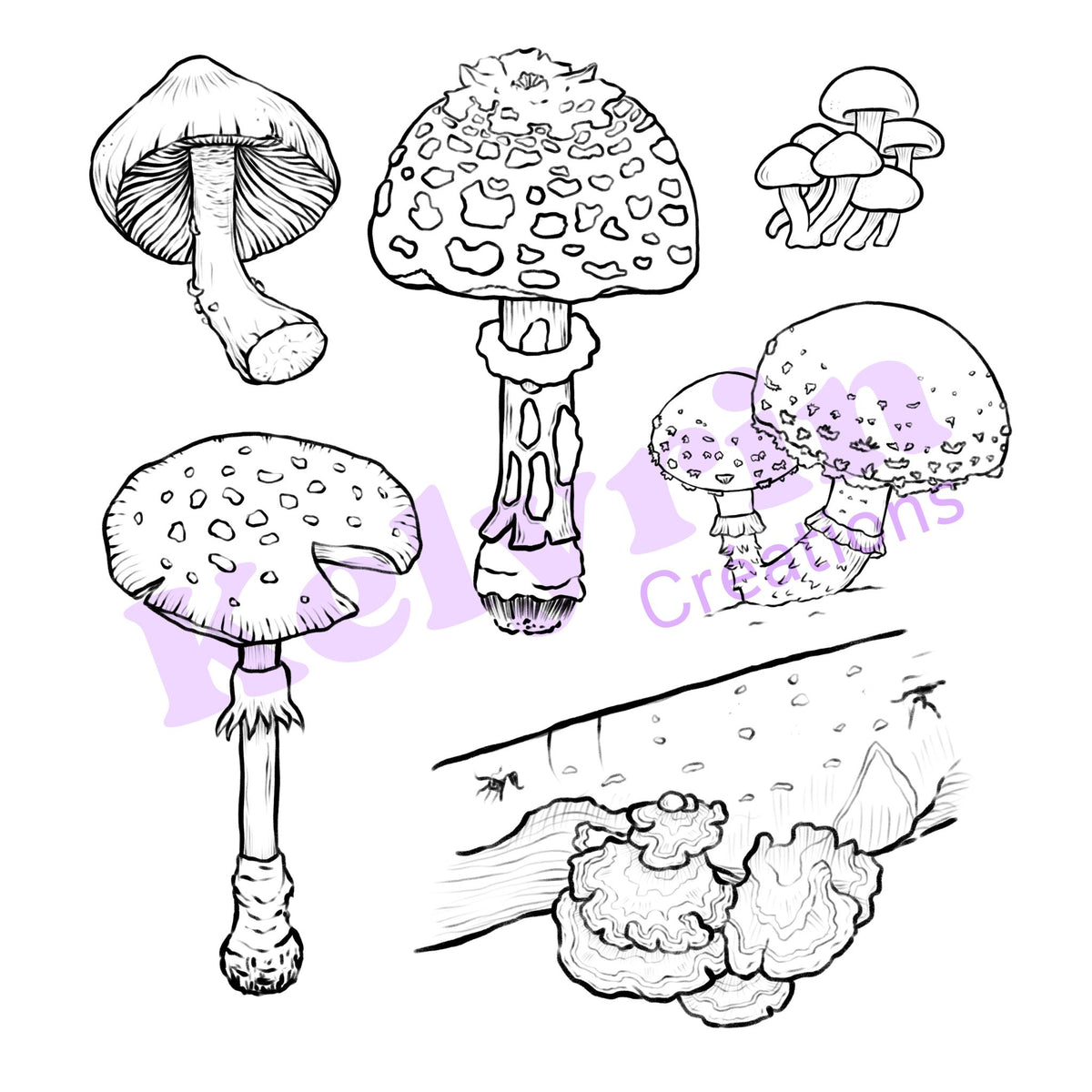 Page de coloriage - Collection de champignons
