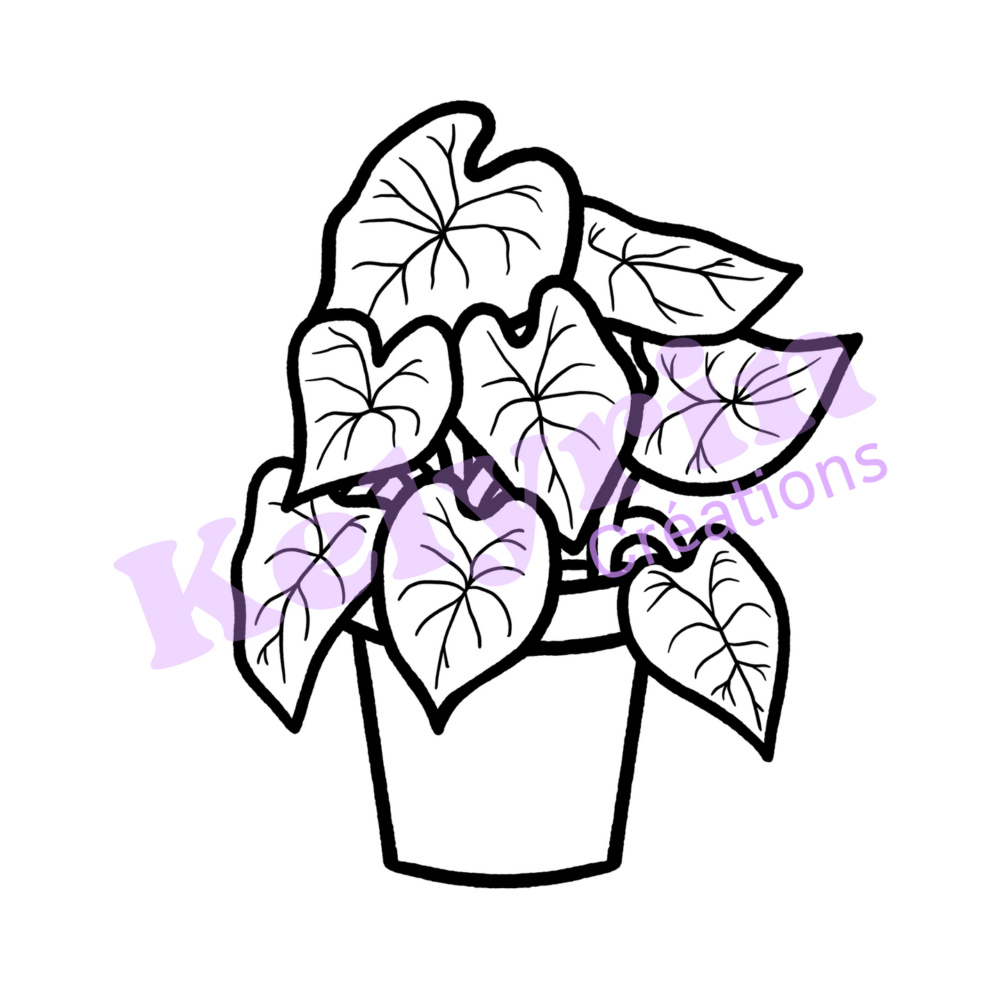 Page de coloriage - Caladium en pot 2