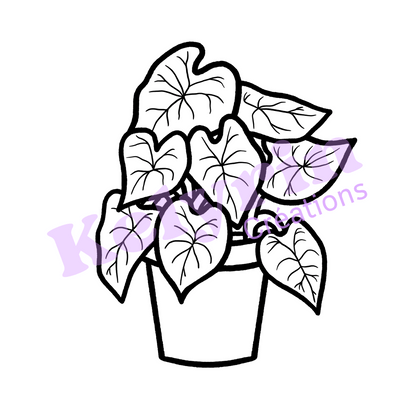 Page de coloriage - Caladium en pot 2