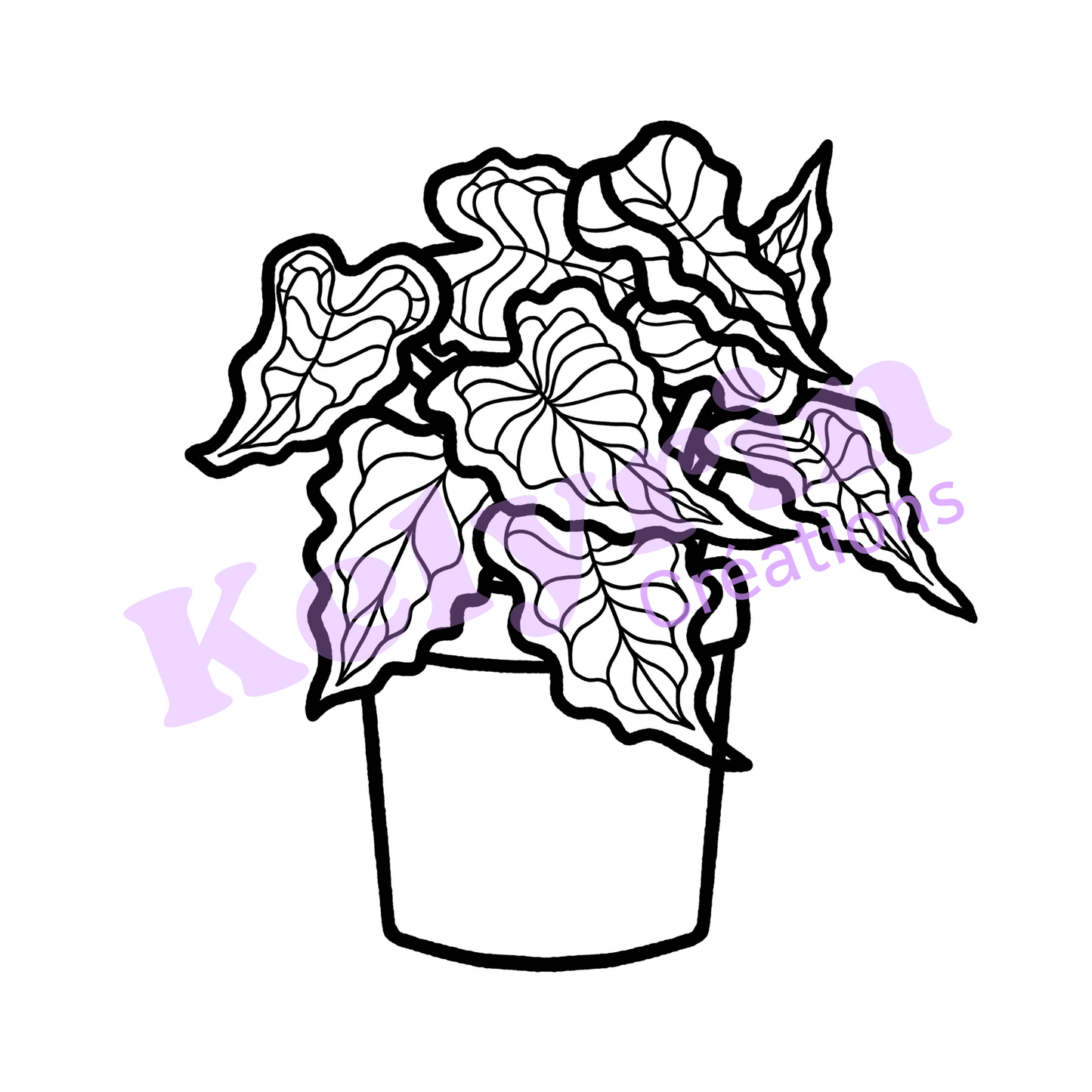 Page de coloriage - Caladium en pot 3