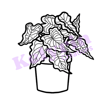 Page de coloriage - Caladium en pot 3