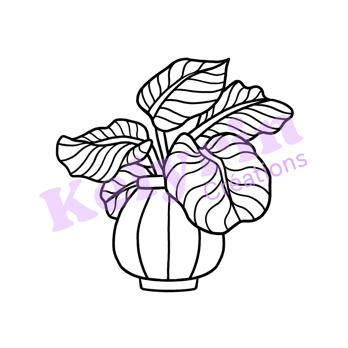 Page de coloriage - Calathea Orbifolia en pot