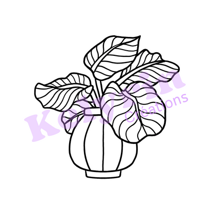 Page de coloriage - Calathea Orbifolia en pot