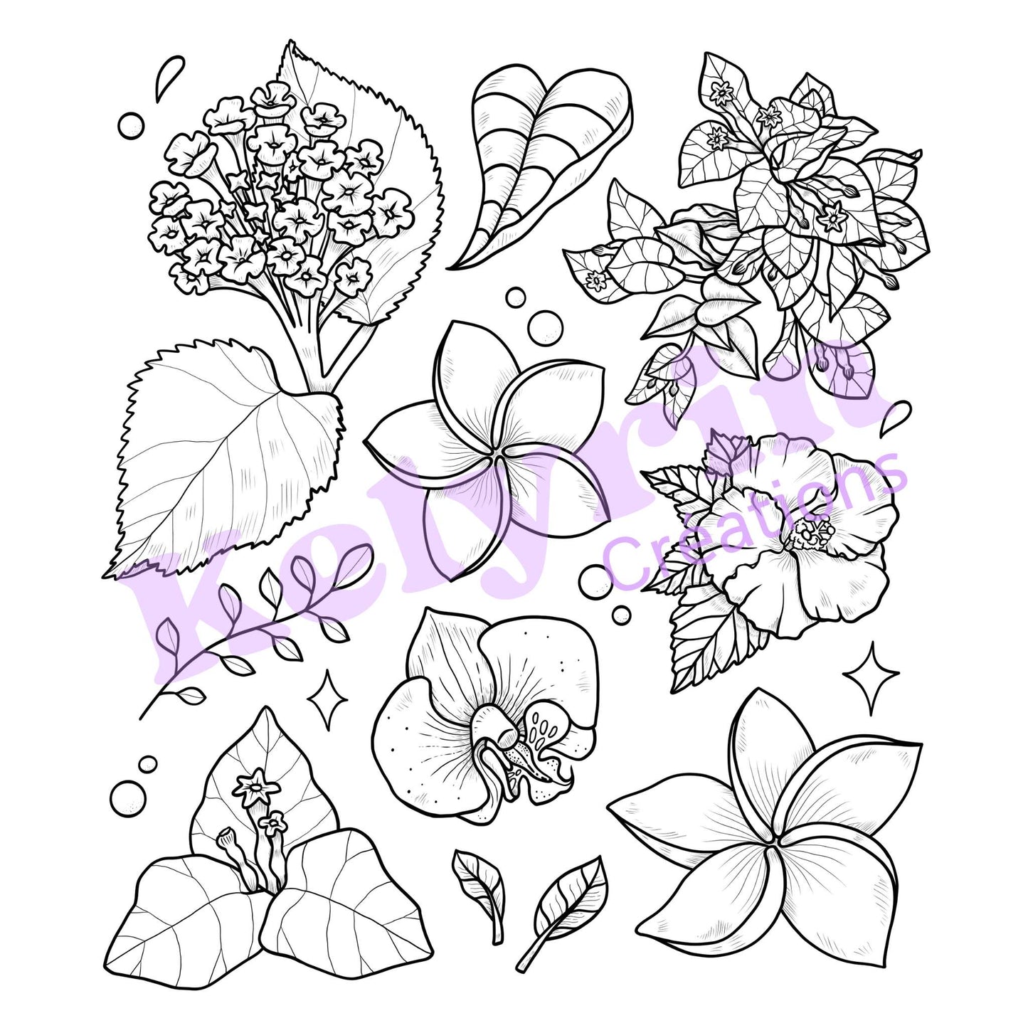 Page de coloriage - Fleurs du Vietnam