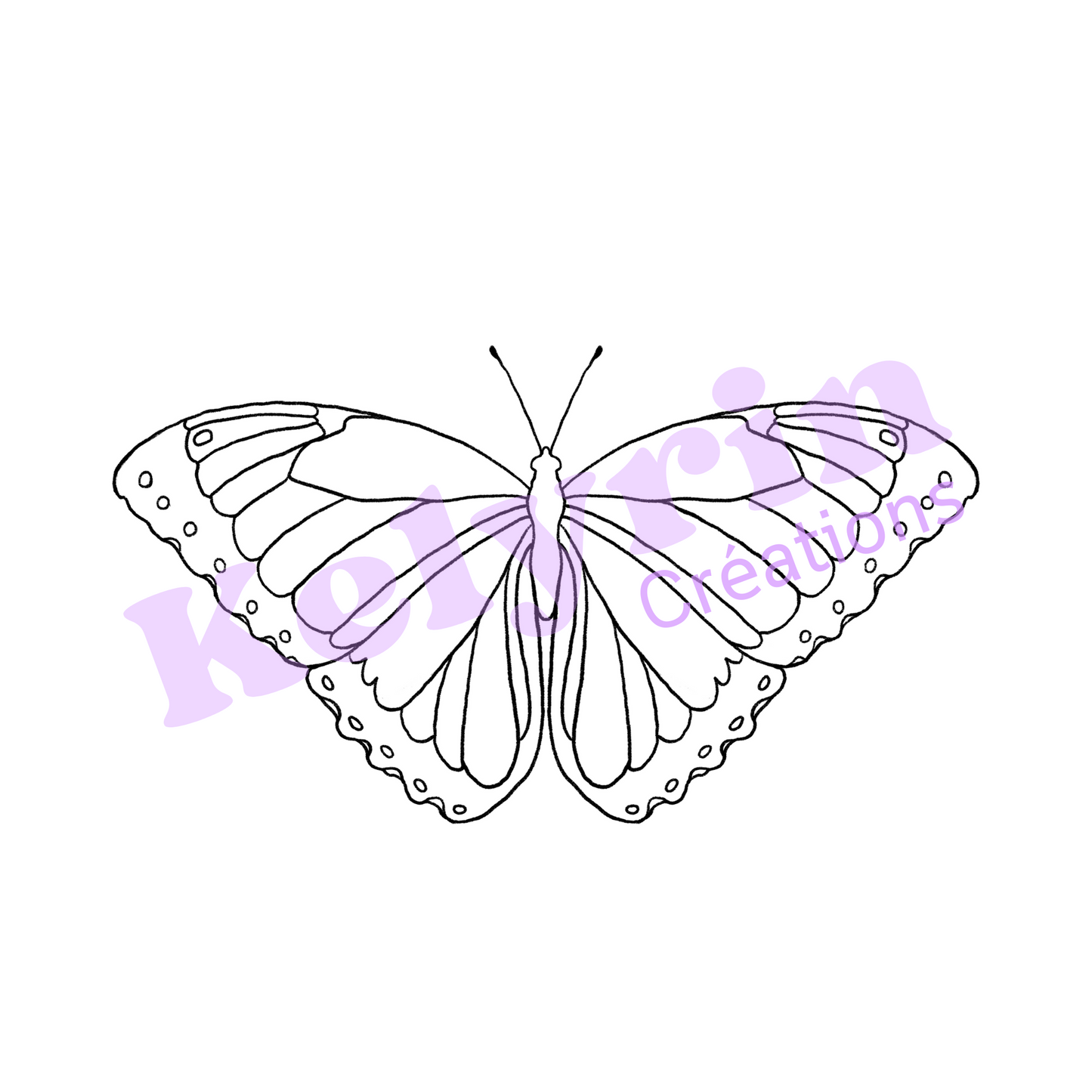 Page de coloriage - Morpho bleu (morpho menelaus)