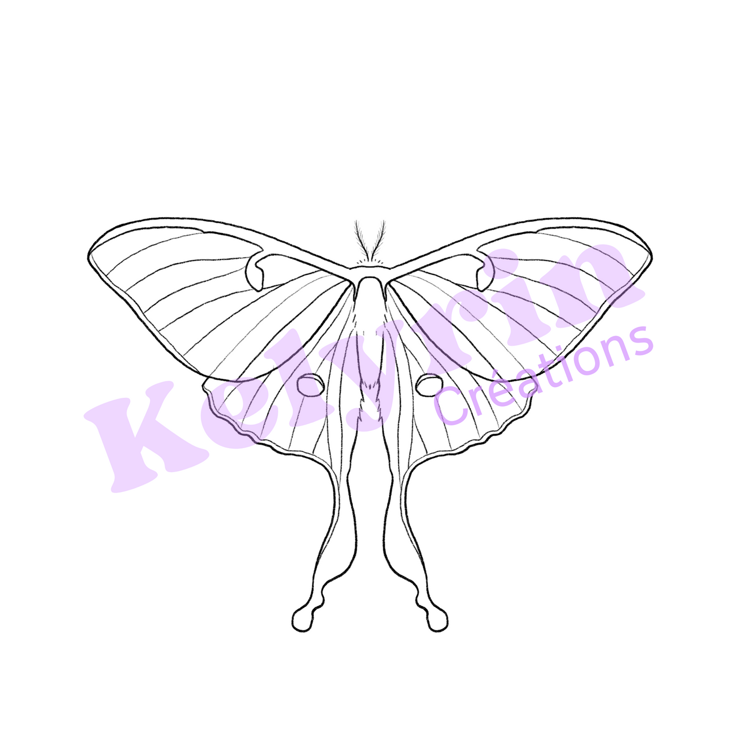 Page de coloriage - Papillon lune (actias luna)