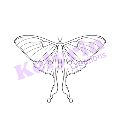 Page de coloriage - Papillon lune (actias luna)