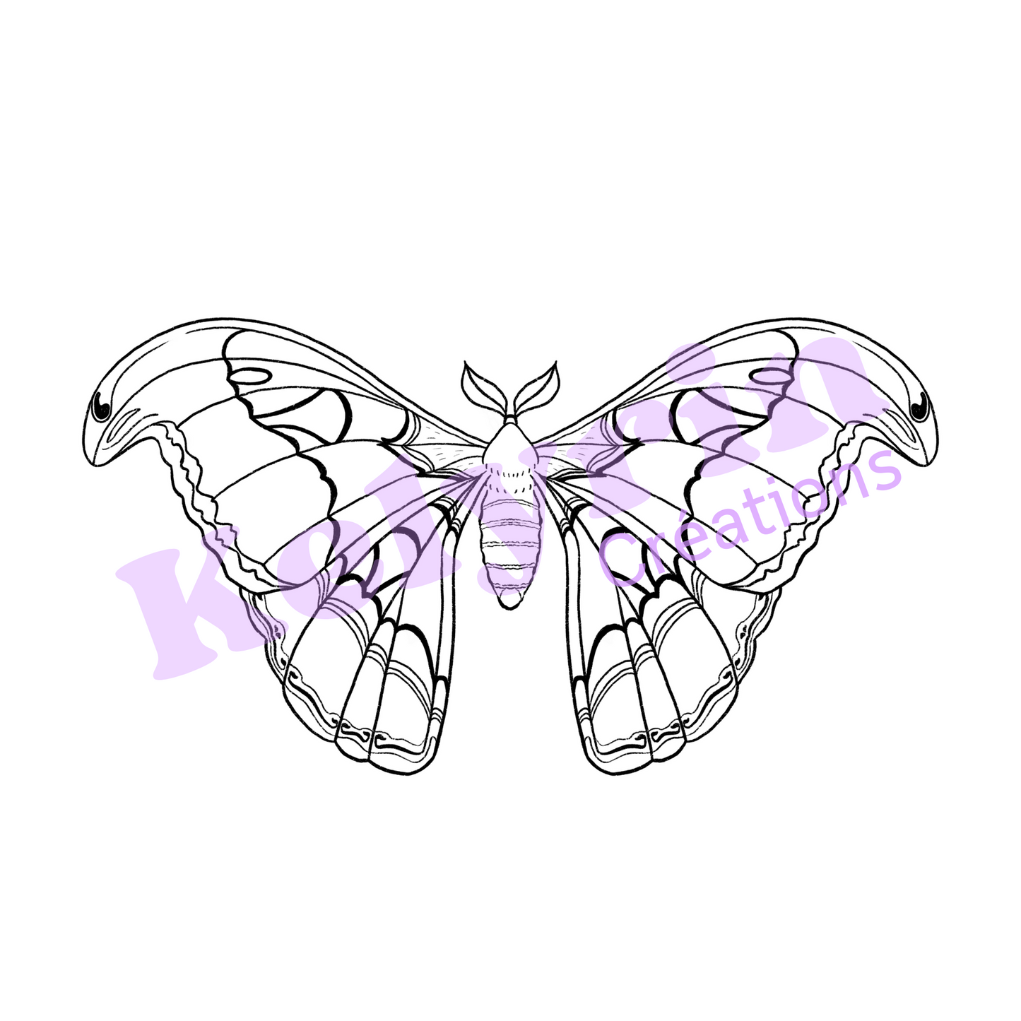 Page de coloriage - Atlas (attacus atlas)