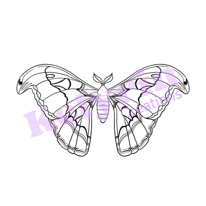 Page de coloriage - Atlas (attacus atlas)