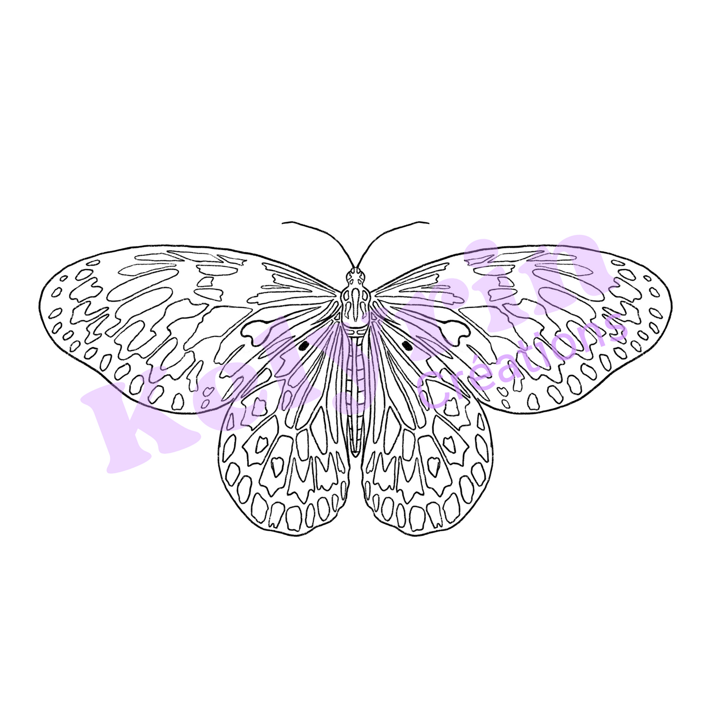 Page de coloriage - Grand Planeur (idea leuconoe)