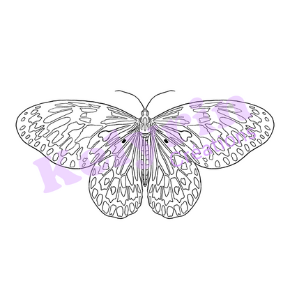 Page de coloriage - Grand Planeur (idea leuconoe)