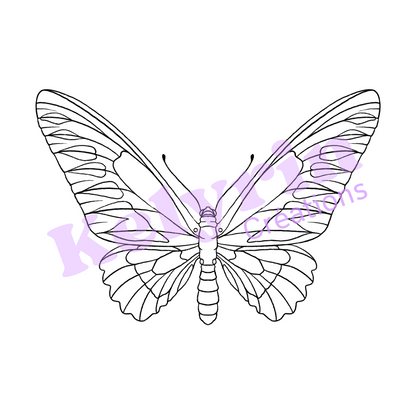 Page de coloriage - Ornithoptère de Brooke (troides brookiana)