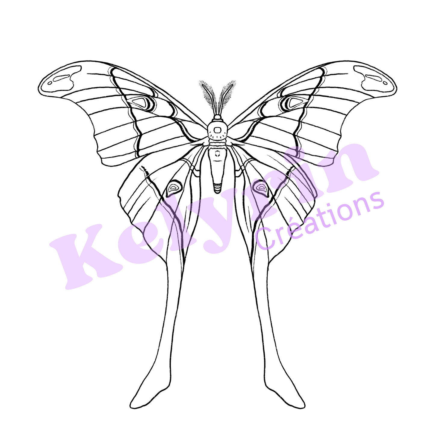 Page de coloriage - L'Hercule (coscinocera hercules)