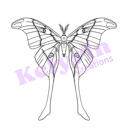 Page de coloriage - L'Hercule (coscinocera hercules)