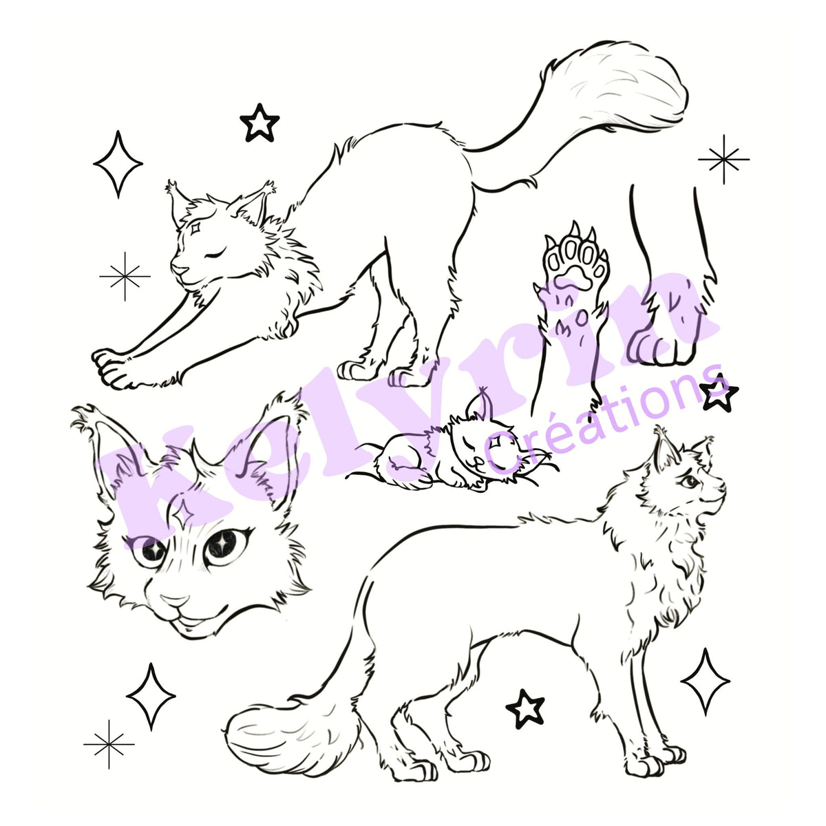 Page de coloriage - Petit chat des étoiles