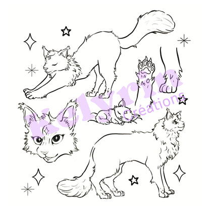 Page de coloriage - Petit chat des étoiles