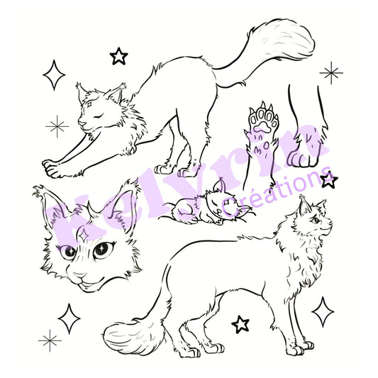 Page de coloriage - Petit chat des étoiles